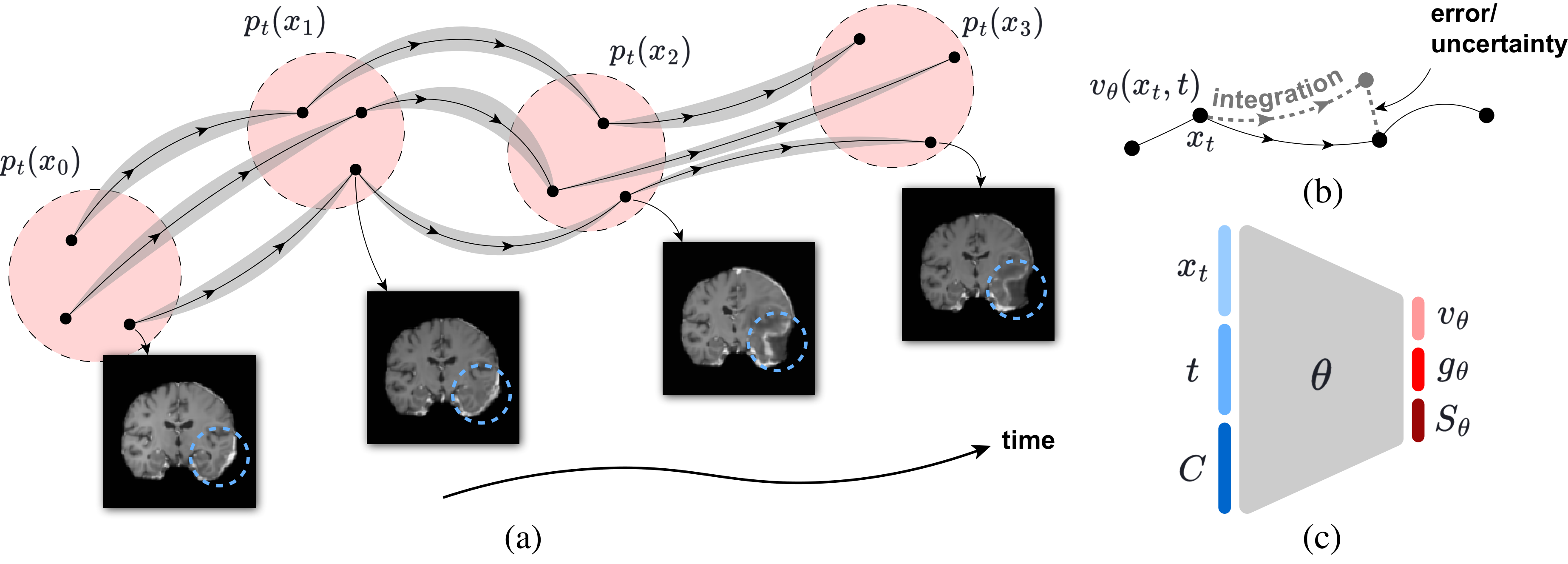 Figure 1: IMMFM pipeline with sparse observations and trajectory forecasting